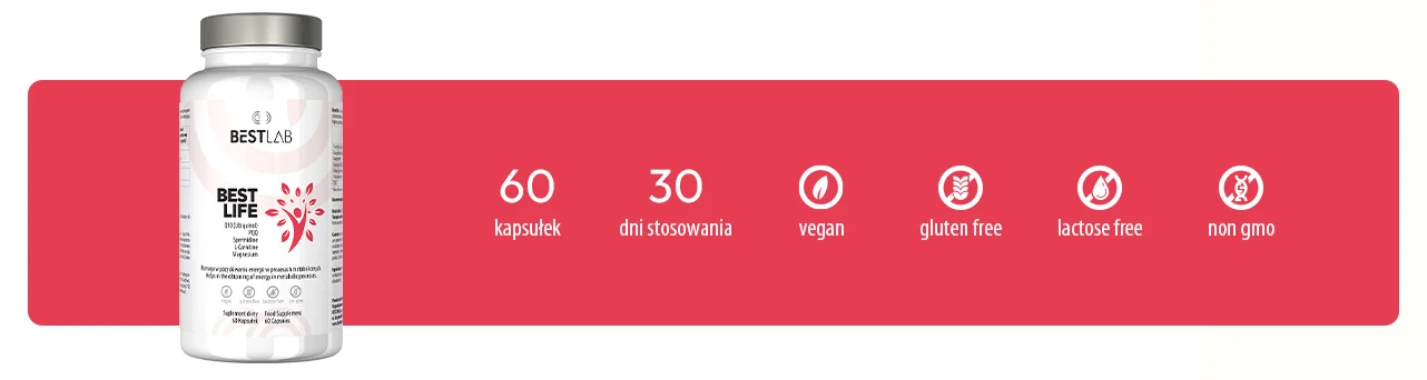 BestLife – codzienne wsparcie