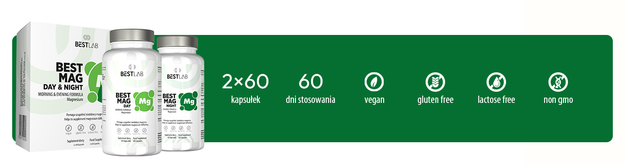 BestMag Set – zestaw magnezów